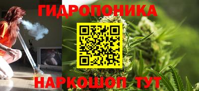 mdpv Лесосибирск