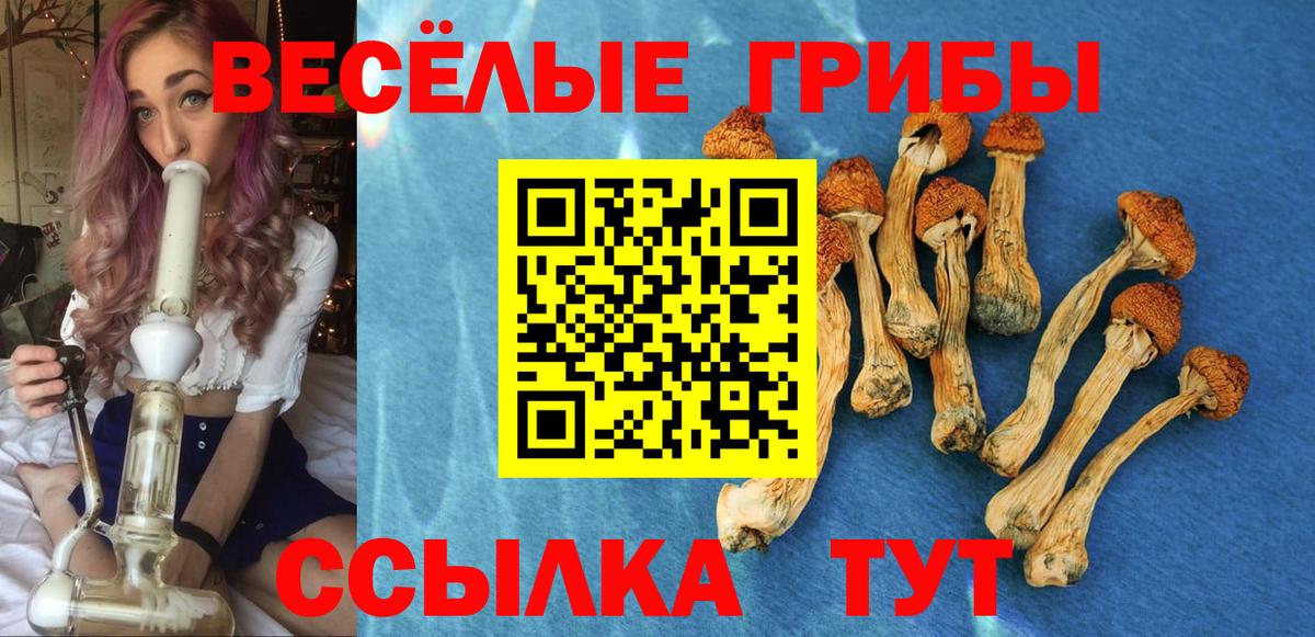 Псилоцибиновые грибы Psilocybine cubensis  Псилоцибиновые грибы ЛСД  Димитровград  продажа наркотиков  Вход с VPN 