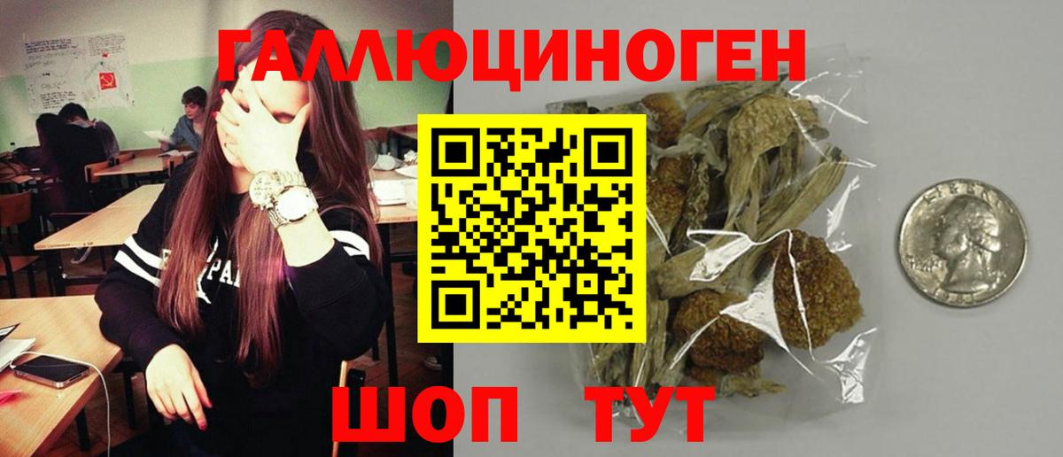 Галлюциногенные грибы Psilocybe Димитровград